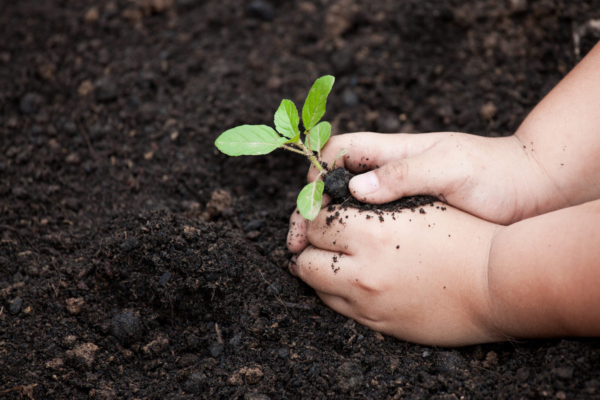 tubishvat