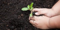 tubishvat