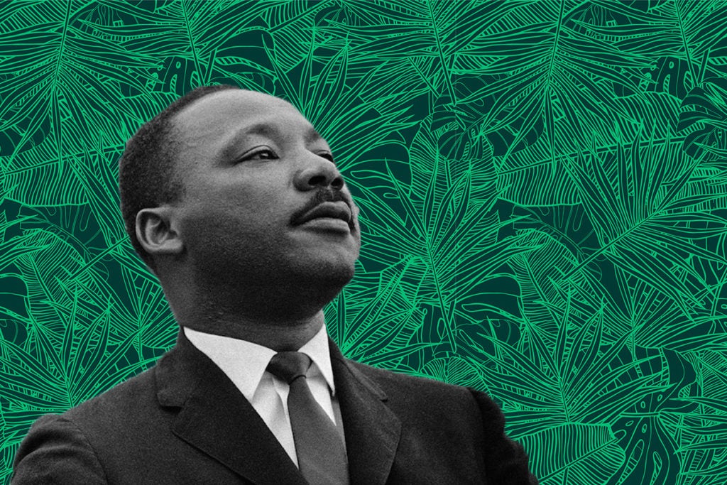 MLK and Tu Bishvat Have More in Common Than You Think