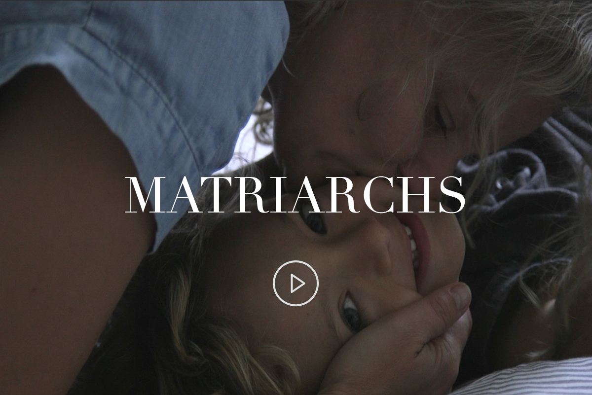 matriarchs