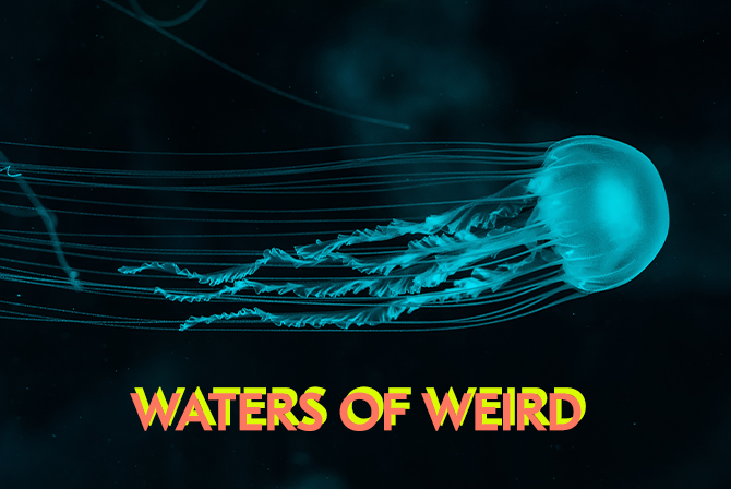 waters of weird