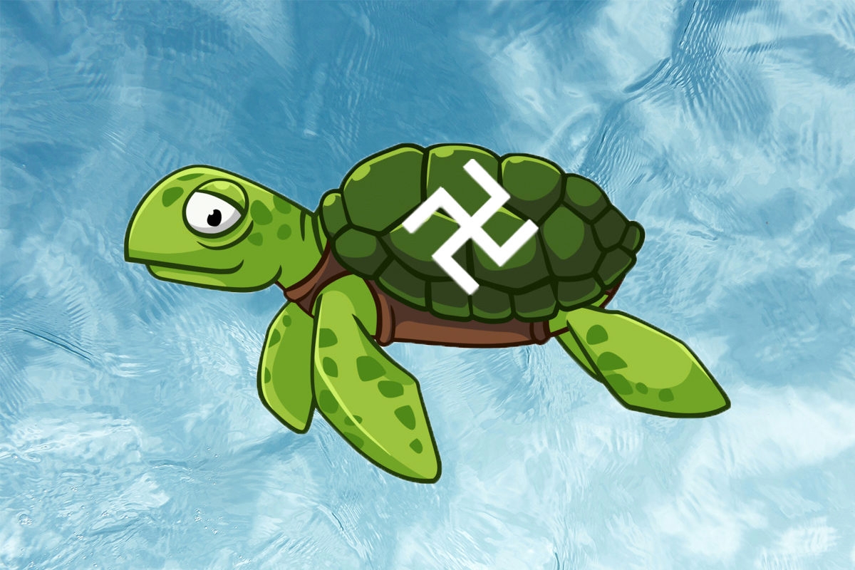 turtle1