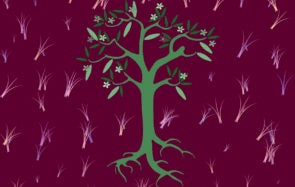 tu bishvat