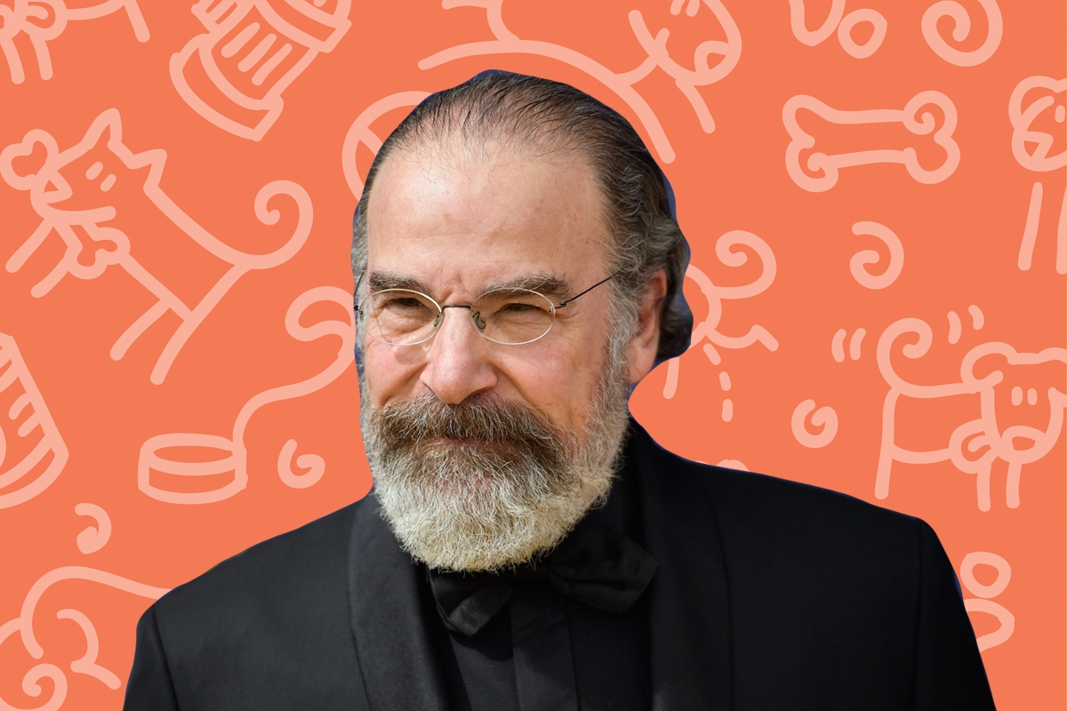 Mandy Patinkin on a dog background