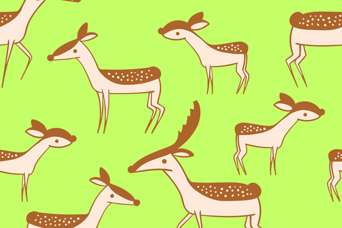 deer