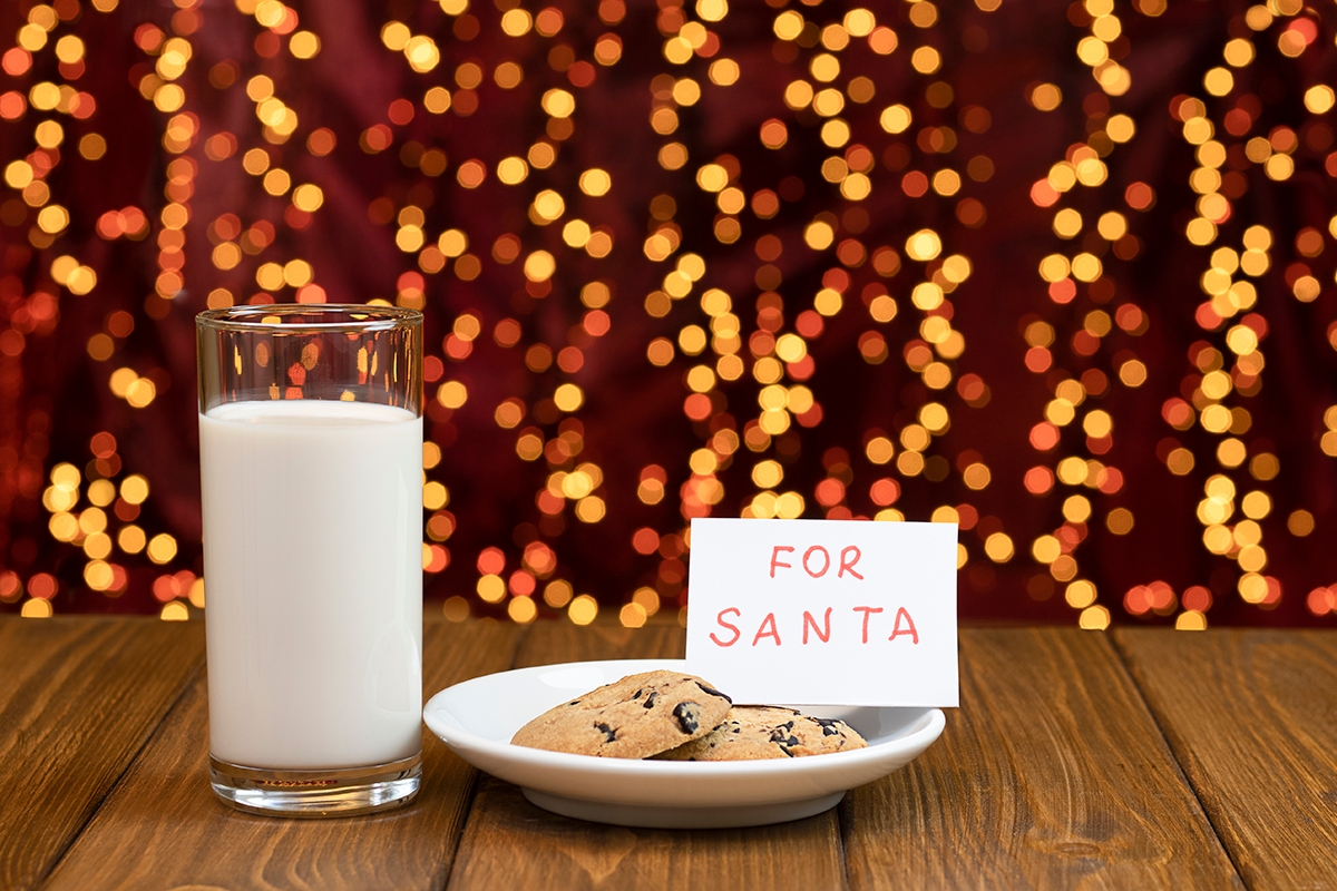Glass of milk and cookies for Santa