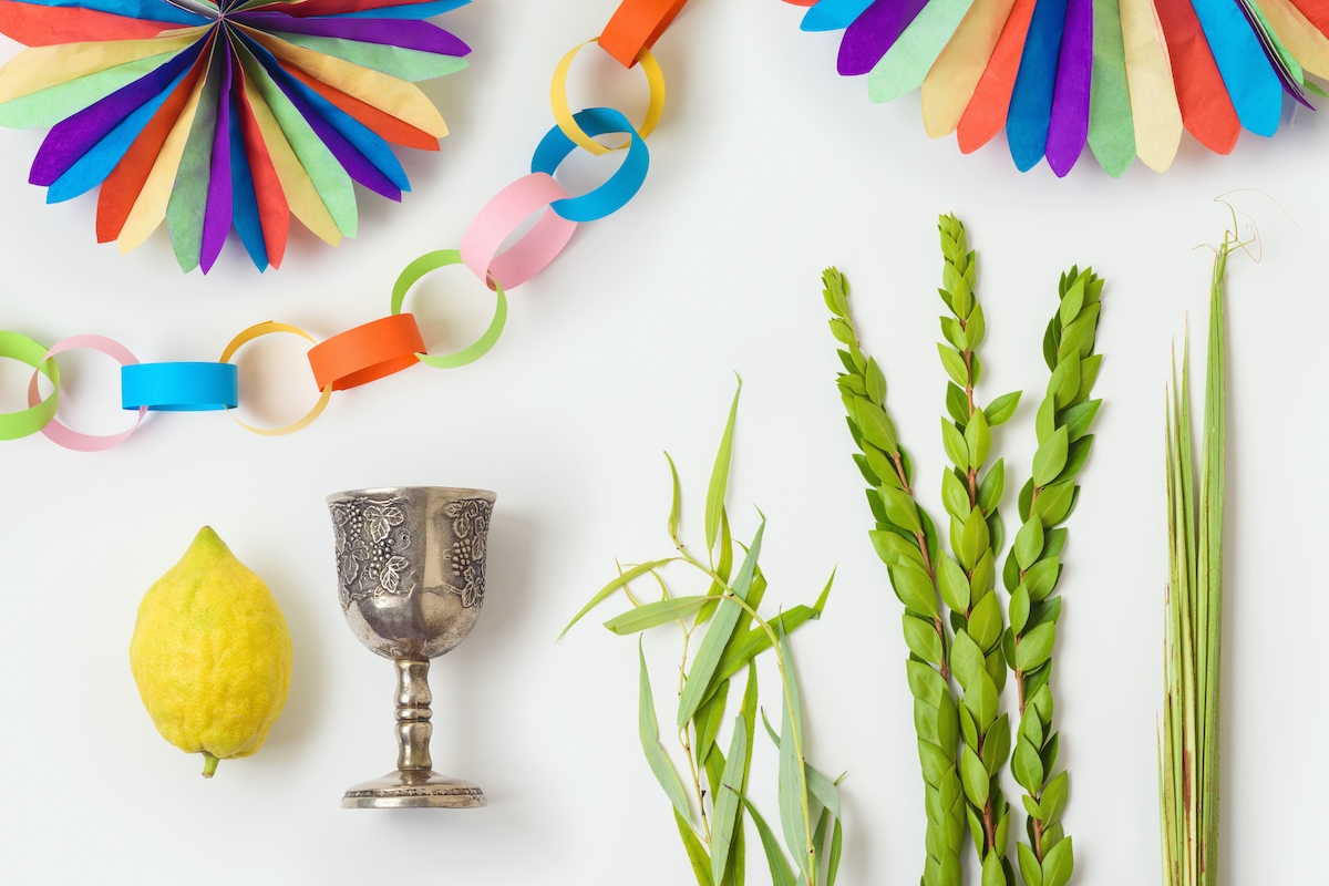 Jewish holiday Sukkot traditional symbols and decorations isolated on white background. Top view, flat lay