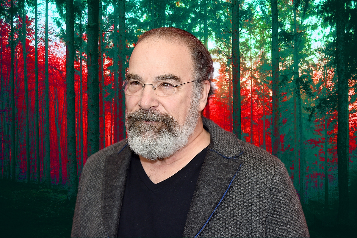 Mandy Patinkin on a background of woods