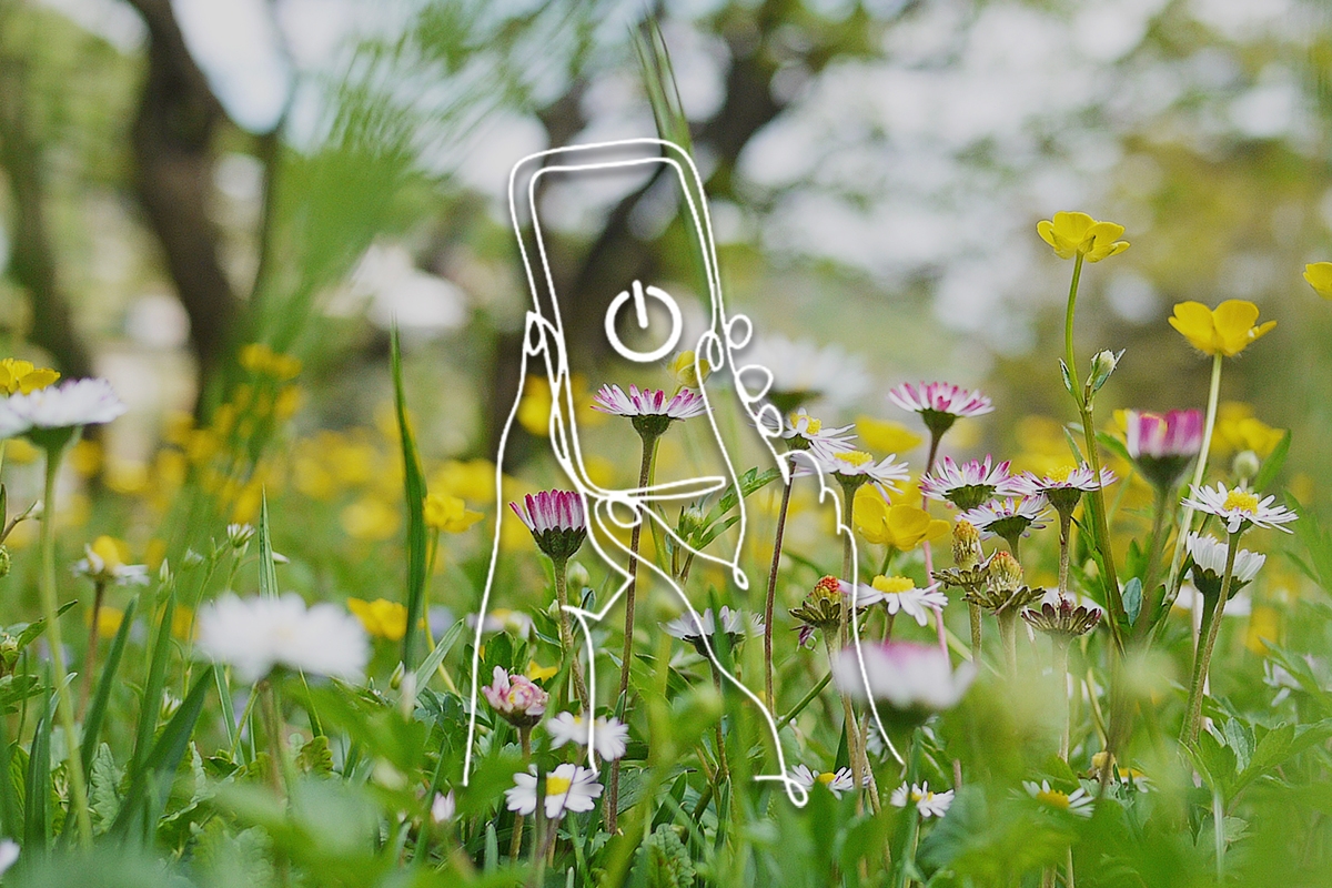 illustration of a phone over a field of grass