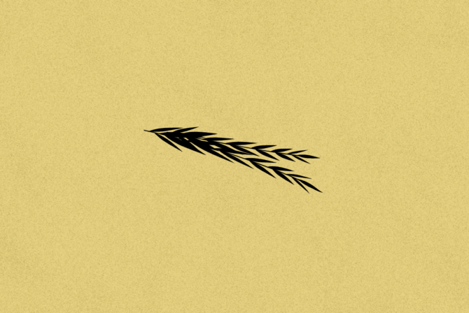 a grain-style leaf on a yellow background
