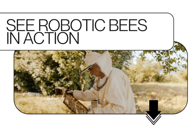 RH Webpage Header Image