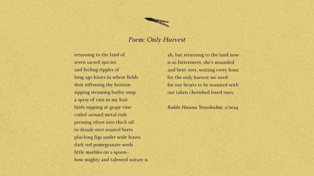 Text of Poem Only Haverst by Rabbi Hannah Yerushalmi