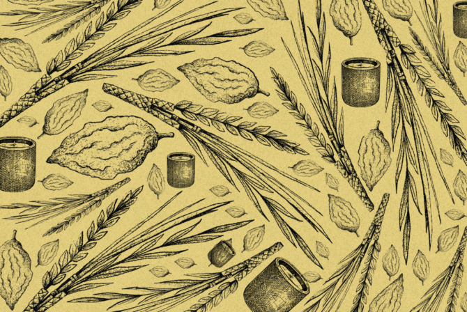 A pattern of sketched lulavs, etrog, and candles.