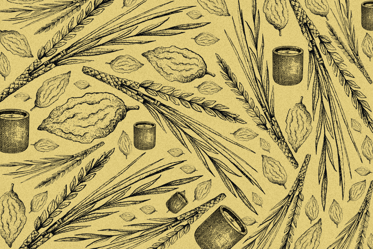 A pattern of sketched lulavs, etrog, and candles.